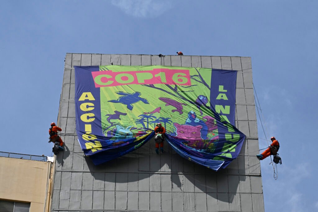 gettyimages-2178400144-1024x683-1