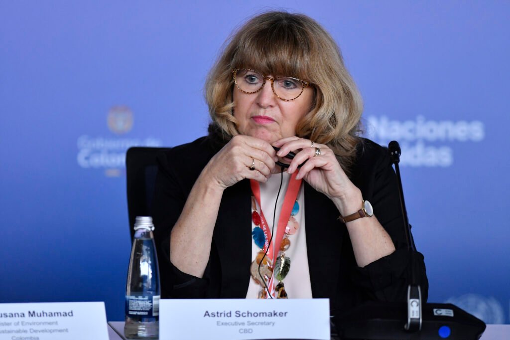 gettyimages-2180049550-1024x682-1