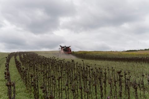 Romania defies EU pesticide ban, testing Brussels’ resolve