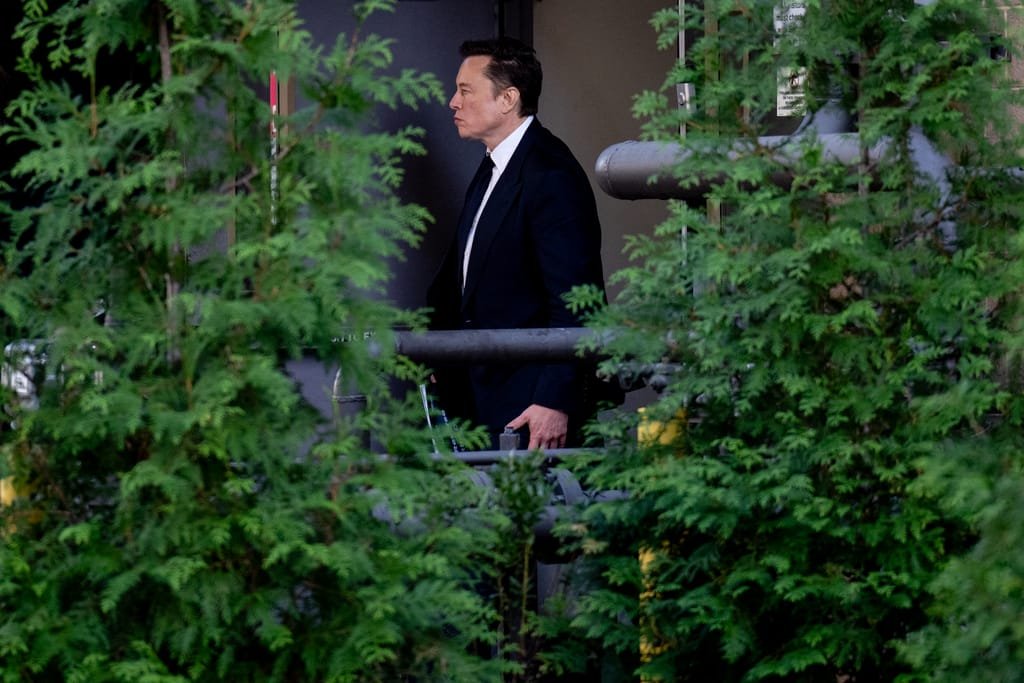 Elon Musk’s man in the European Parliament