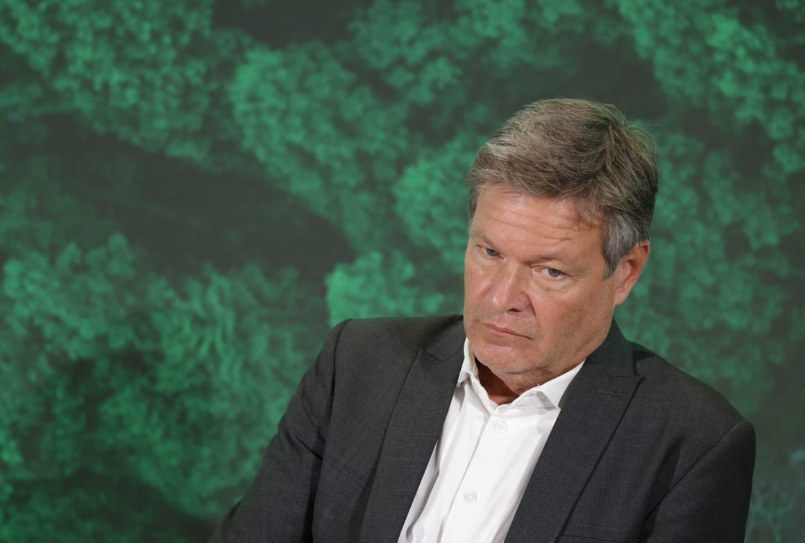 Robert Habeck Speaks At BDI Climate Congress