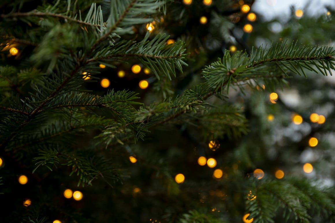 Shiny warm lights on fir tree. Winter time and Christmas card