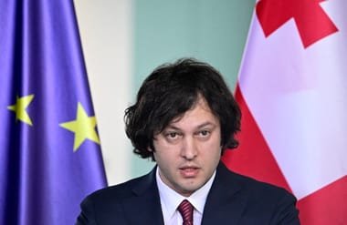 Georgia hits brakes on EU accession bid