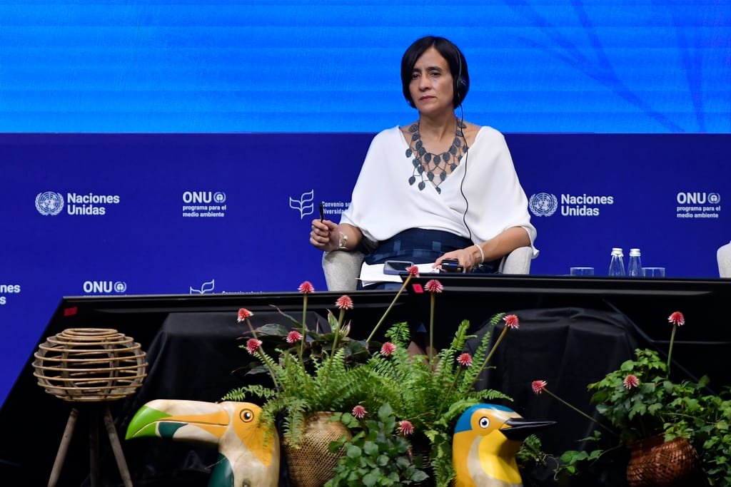 Green diplomacy faces first big test since Trump’s return at Rome nature summit