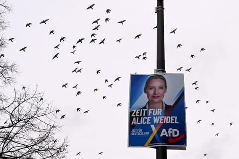 How Germany’s far right is harnessing AI to win votes