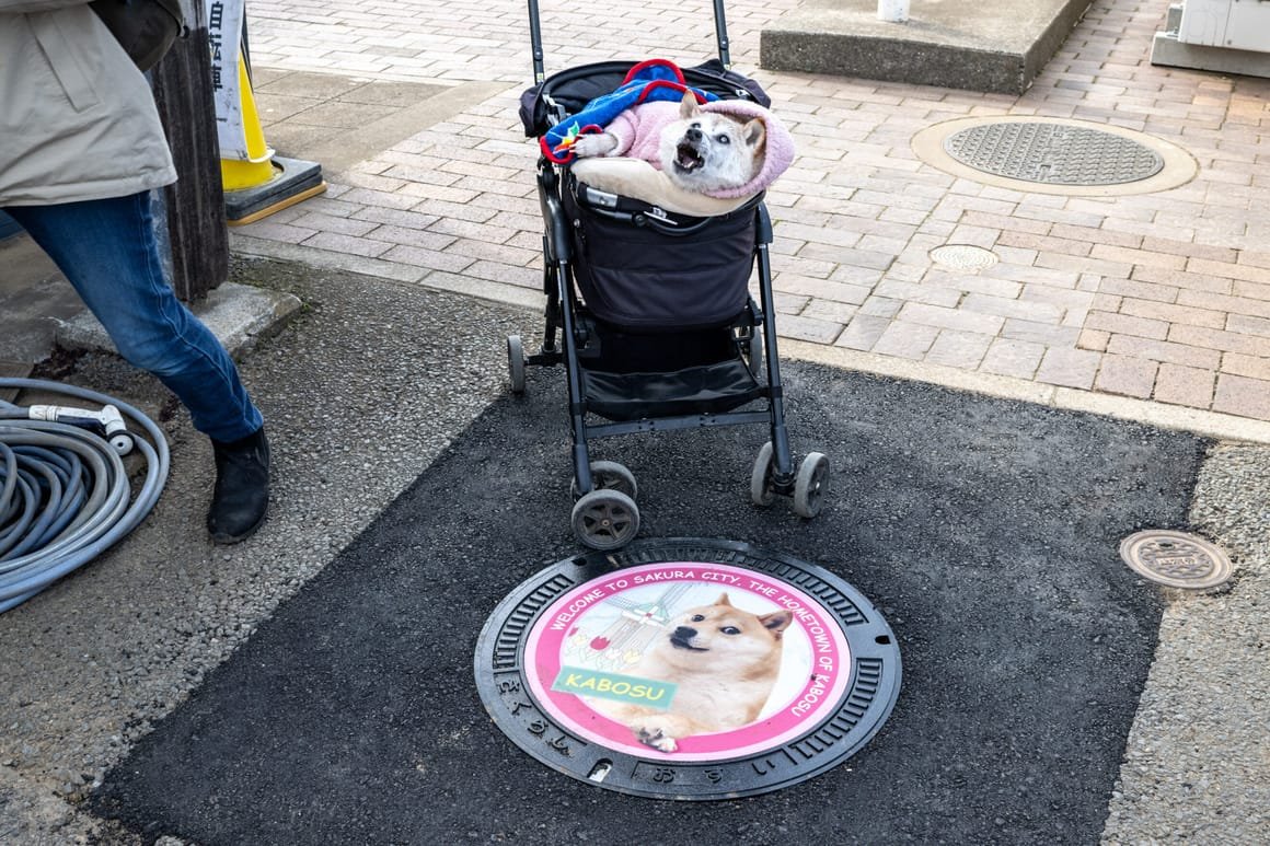 JAPAN-INTERNET-CRYPTO-MEME-DOGE-WOW