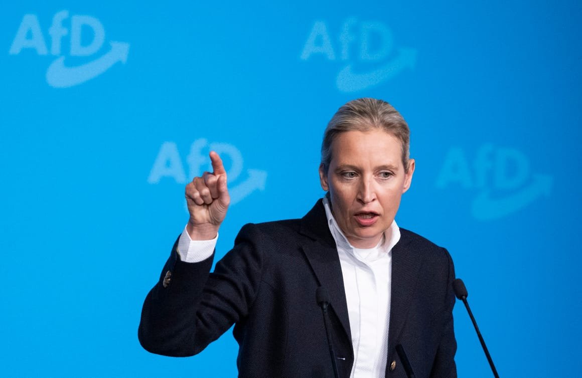 Alternative For Germany (AfD) Launches European Parliamentary Elections Campaign