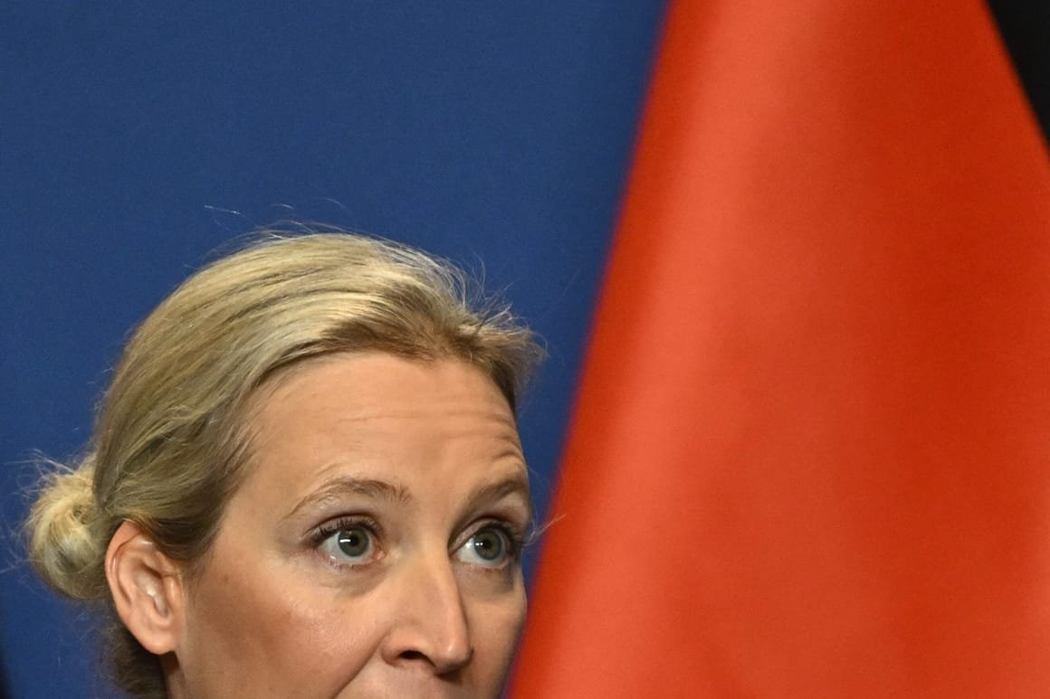 HUNGARY-GERMANY-POLITICS-DIPLOMACY-PARTIES-AFD