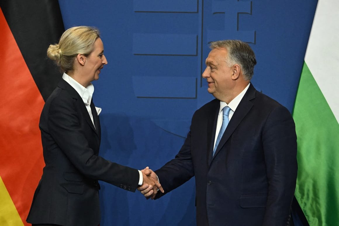 HUNGARY-GERMANY-POLITICS-DIPLOMACY-PARTIES-AFD